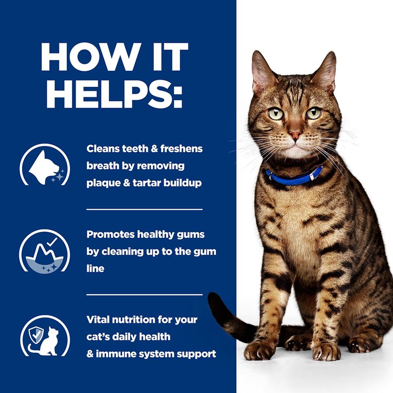 Hill's Prescription Diet Feline t/d Dental Care - Chicken || Hill's Prescription Diet || view 6