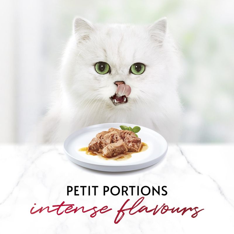 Gourmet Mon Petit || undefined || view 14
