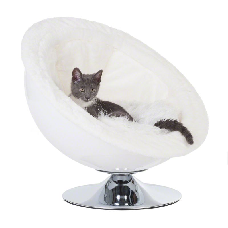 Grey cat sitting in a white, round cat bed with soft padding and shiny metal base.