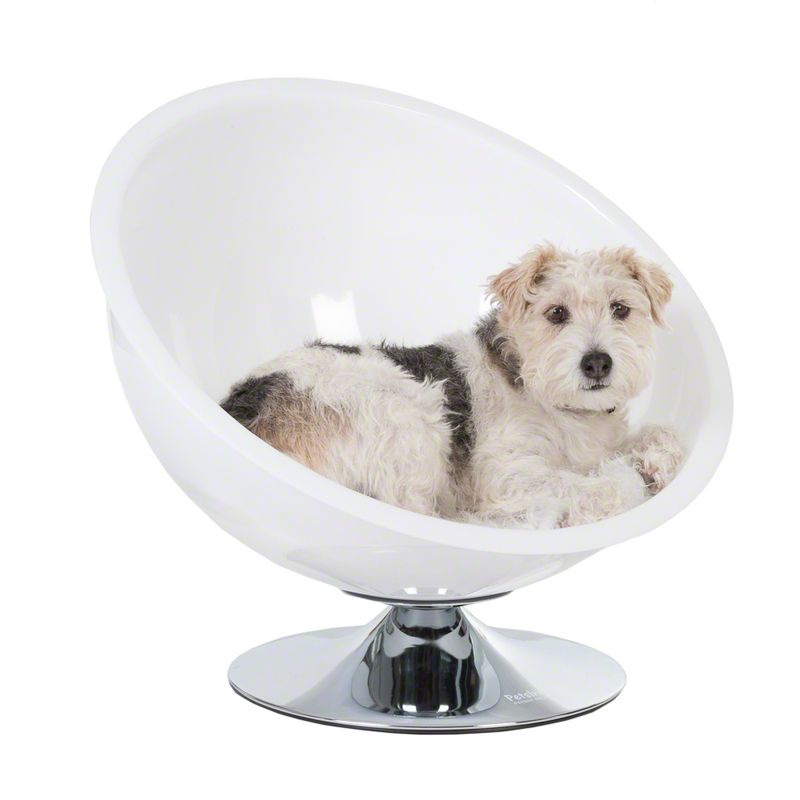 White, round pet armchair with chrome-plated base. Dog lying in the armchair.