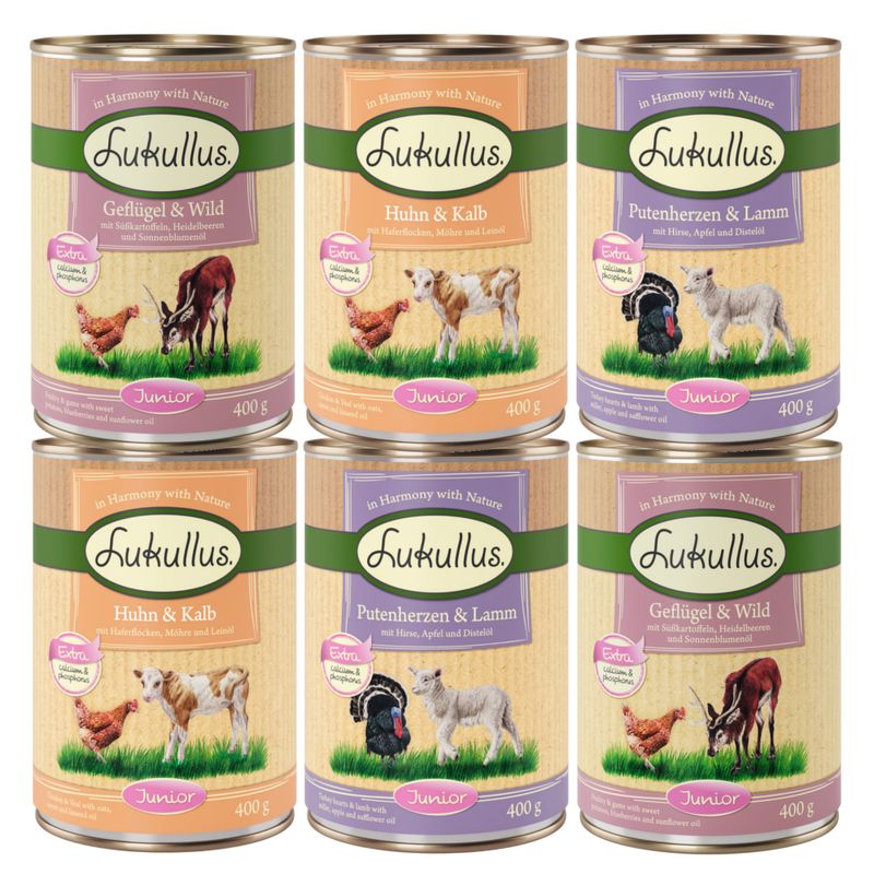 Lukullus Junior wet food, varieties: poultry & game, chicken & veal, turkey hearts & lamb. With sweet potatoes, blueberries, sunflower oil, millet, apple and safflower oil. 400g cans.