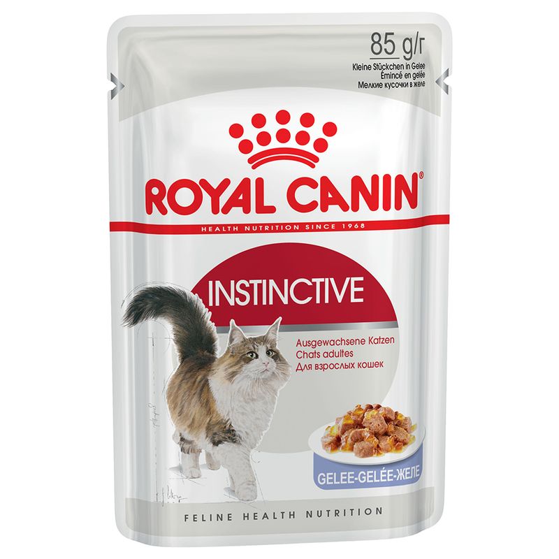 Royal Canin Adult Jelly & Gravy Mixed Pack 24 x 85g || undefined || view 3