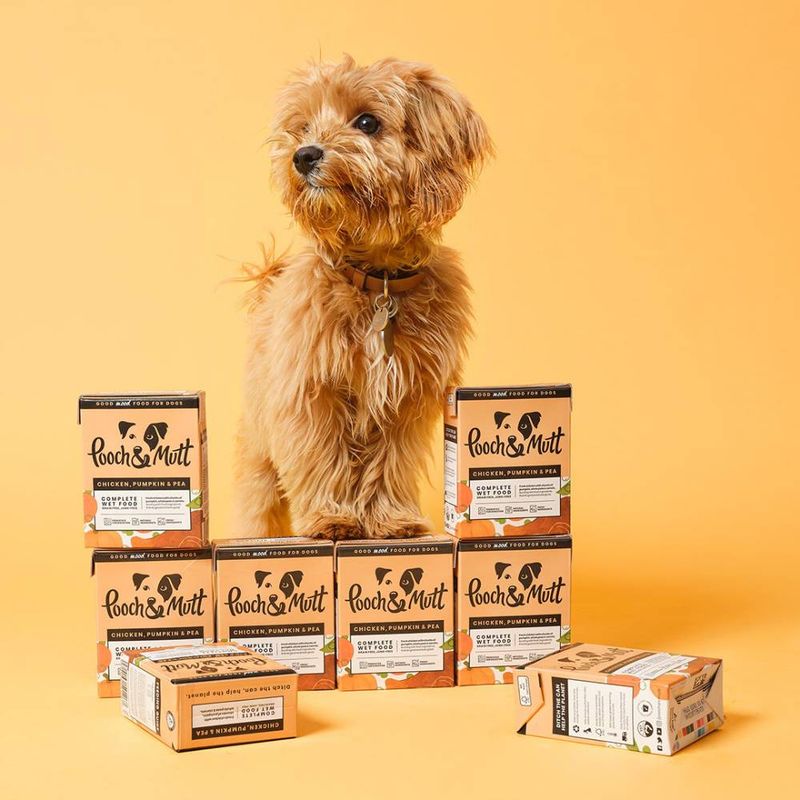 Pooch and Mutt Wet Dog Food - Chicken, Pea & Pumpkin || Pooch & Mutt || view 5