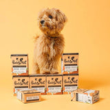 Pooch and Mutt Wet Dog Food - Chicken, Pea & Pumpkin || Pooch & Mutt || view 5