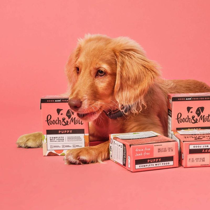 Pooch and Mutt Wet Puppy Food - Chicken & Vegetables || Pooch & Mutt || view 3