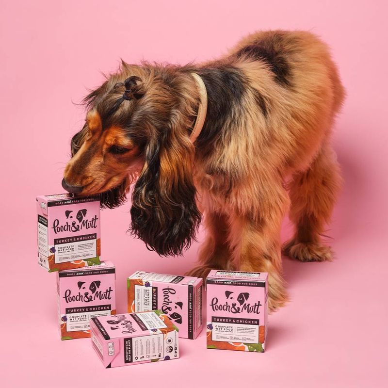 Pooch and Mutt Wet Dog Food - Turkey & Chicken || Pooch & Mutt || view 4
