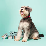 Pooch and Mutt Wet Dog Food - Turkey & Duck || Pooch & Mutt || view 7