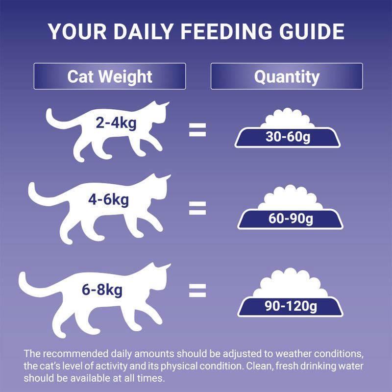PURINA ONE Special Needs Dry Cat Food Economy Packs || Purina One || view 6