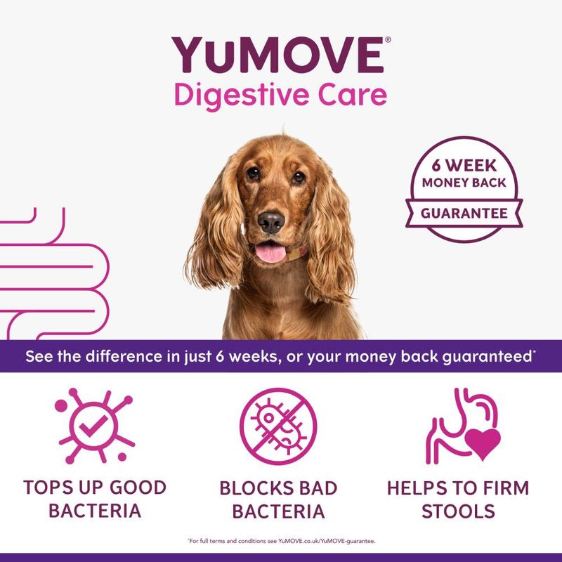 YuMOVE Digestive Care with 6 week money back guarantee. See the difference in 6 weeks or your money back. Tops up good bacteria, blocks bad bacteria, helps to firm stools.