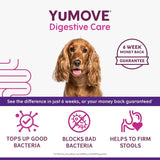 YuMOVE Digestive Care with 6 week money back guarantee. See the difference in 6 weeks or your money back. Tops up good bacteria, blocks bad bacteria, helps to firm stools.