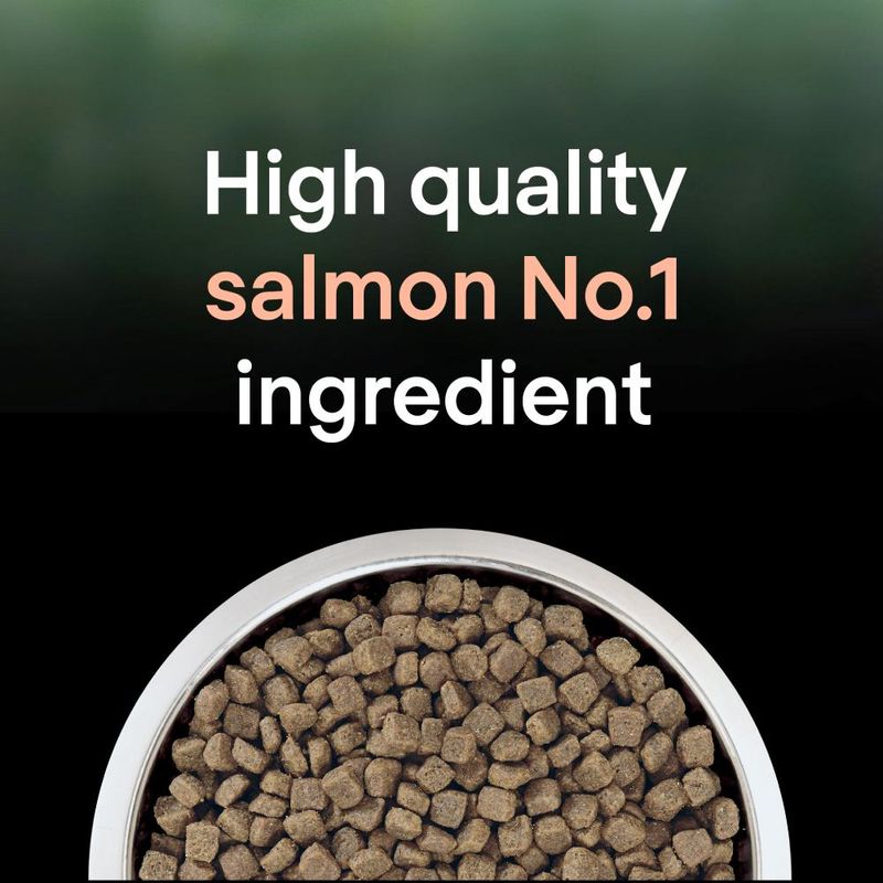 Purina Pro Plan LiveClear Sterilised Adult - Salmon || Pro Plan || view 6