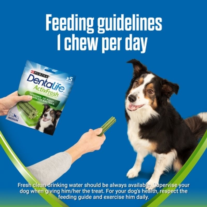 Purina Dentalife ActivFresh Daily Dental Care Snacks for Medium Breed Dogs || Dentalife || view 8