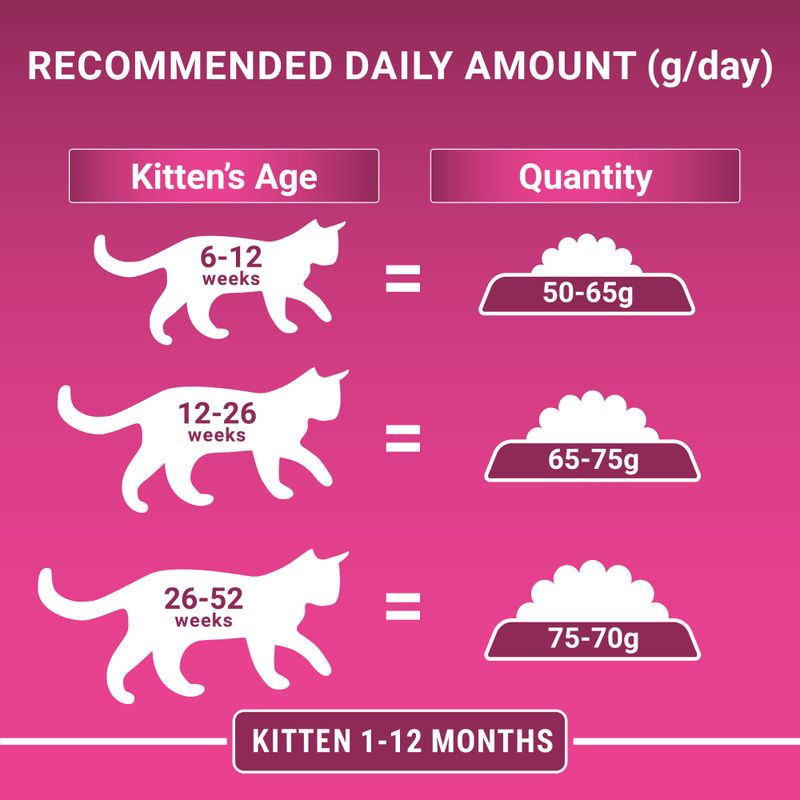 PURINA ONE Junior / Kitten Chicken & Whole Grains Dry Cat Food || Purina One || view 7