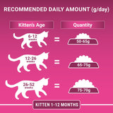 PURINA ONE Junior / Kitten Chicken & Whole Grains Dry Cat Food || Purina One || view 7