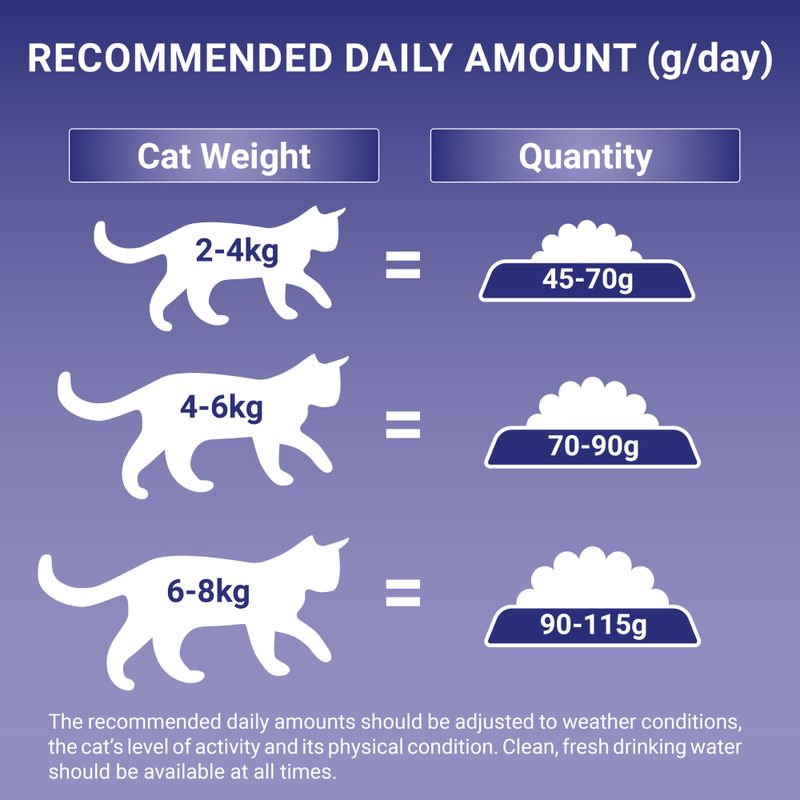 PURINA ONE Light Chicken & Wheat Dry Cat Food || Purina One || view 5