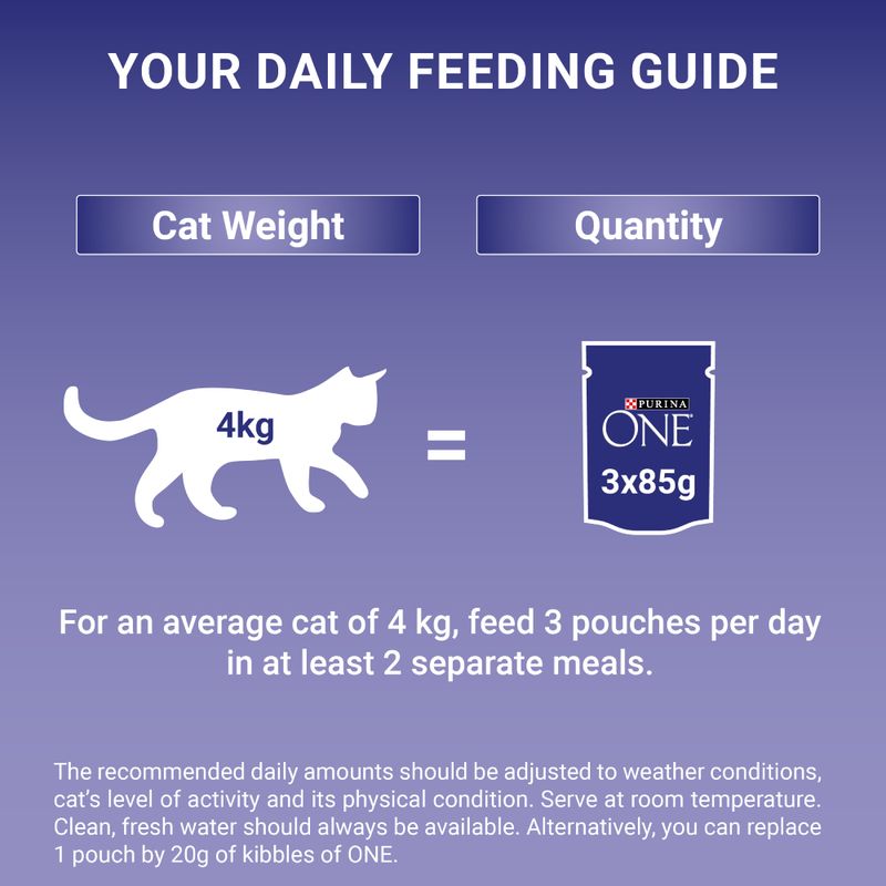 PURINA ONE Adult || undefined || view 9