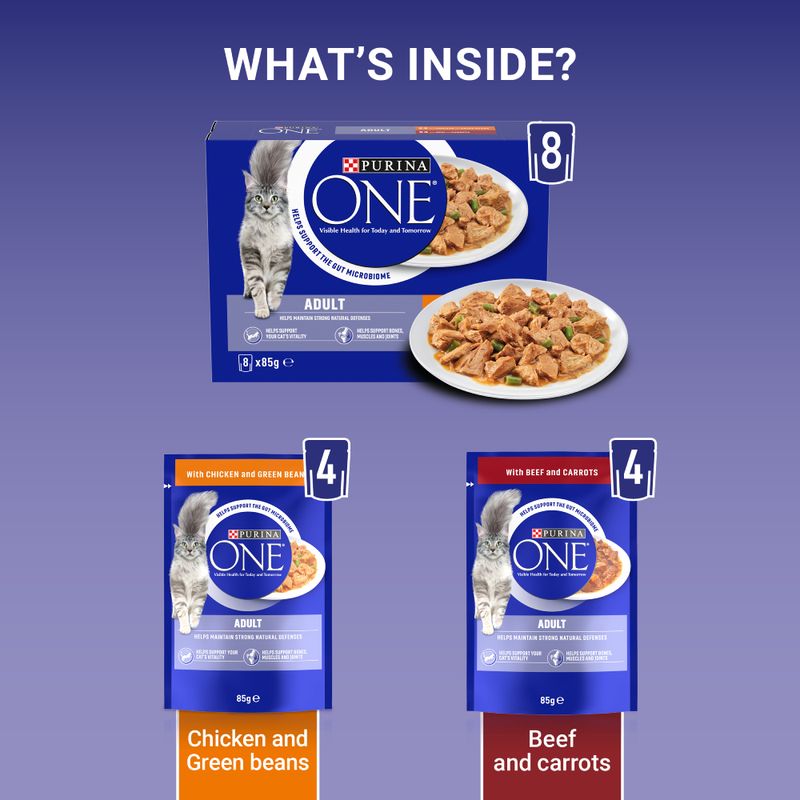 PURINA ONE Adult || undefined || view 8