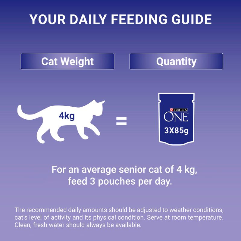 PURINA ONE Senior 7+ || Purina One || view 9