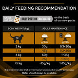 Daily feeding recommendation chart for adult maintenance by body weight in kg, with portion sizes in grams per 24 hours. Includes reminder to consult a vet and ensure water is always available.