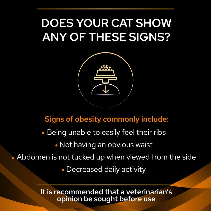 Signs of cat obesity: unable to feel ribs, no obvious waist, abdomen not tucked up from side, decreased activity. Veterinary advice recommended before use.