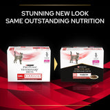 PURINA PRO PLAN Veterinary Diets Feline DM Diabetes Management - Beef || undefined || view 12
