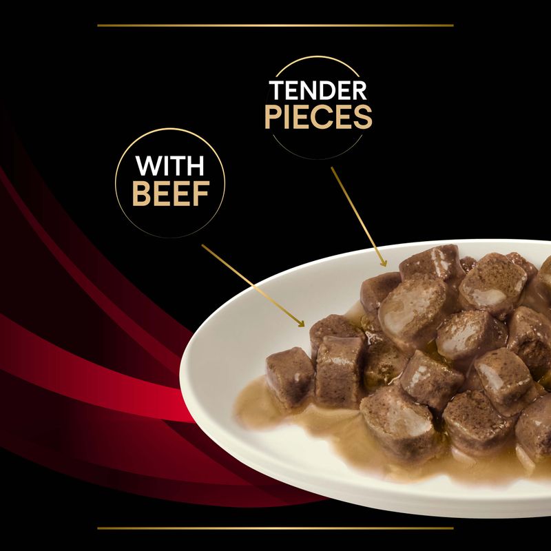 PURINA PRO PLAN Veterinary Diets Feline DM Diabetes Management - Beef || undefined || view 13