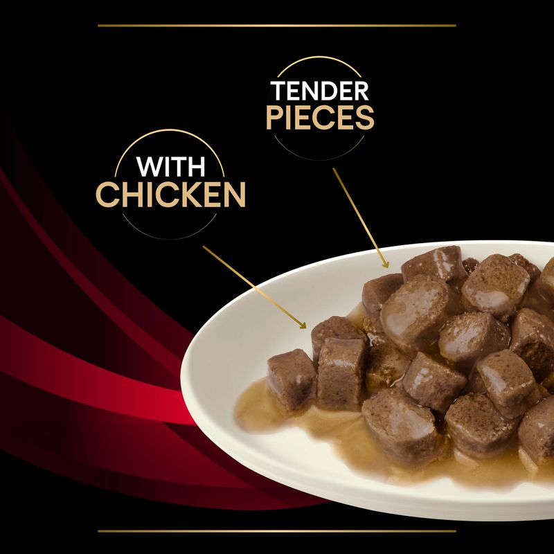 PURINA PRO PLAN Veterinary Diets Feline DM Diabetes Management - Chicken || undefined || view 14