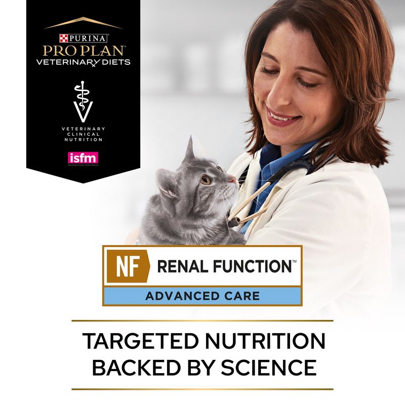 PURINA PRO PLAN Veterinary Diets Feline NF Renal Function - Salmon || undefined || view 9