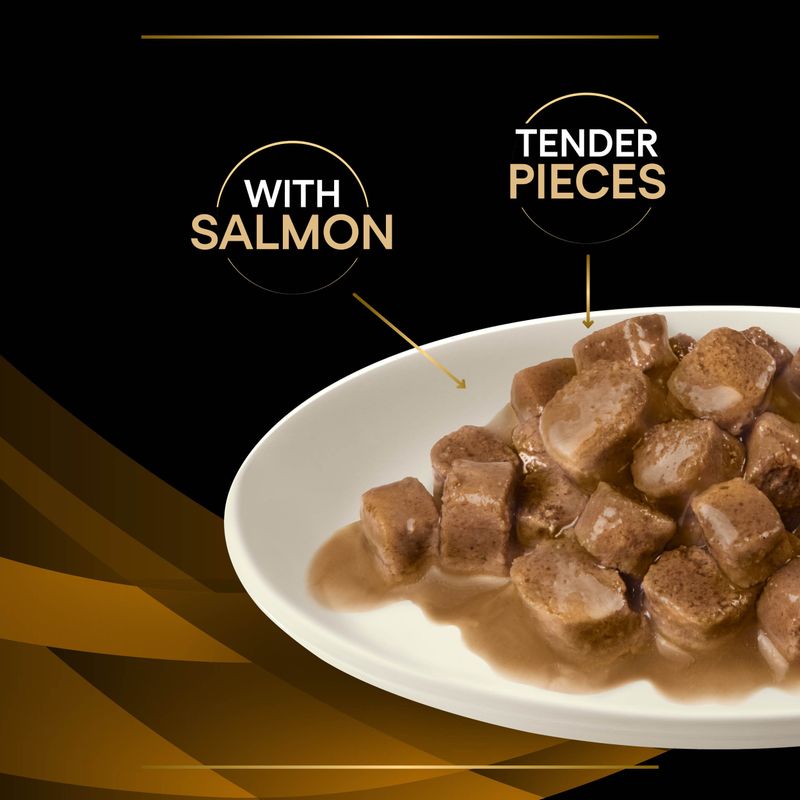 PURINA PRO PLAN Veterinary Diets Feline NF Renal Function - Salmon || undefined || view 11