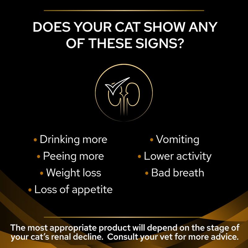 PURINA PRO PLAN Veterinary Diets Feline NF Renal Function - Salmon || undefined || view 14