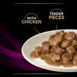 PURINA PRO PLAN Veterinary Diets Feline UR Urinary - Chicken || undefined || view 14