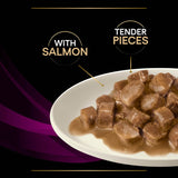 PURINA PRO PLAN Veterinary Diets Feline UR Urinary - Salmon || undefined || view 13