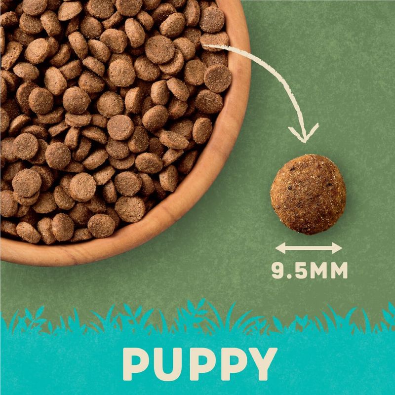 Harringtons Complete Puppy - Rich in Turkey & Rice || Harringtons || view 7