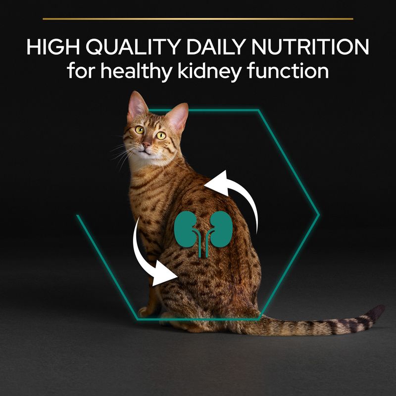 PURINA PRO PLAN Adult Renal Plus - Rich in Chicken || Pro Plan || view 3