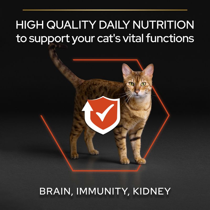 PURINA PRO PLAN Adult Vital Functions - Salmon || Pro Plan || view 4