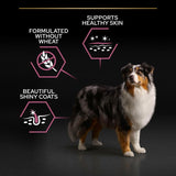 PURINA PRO PLAN Senior Medium & Large Adult 7+ Sensitive Skin || Pro Plan || view 5