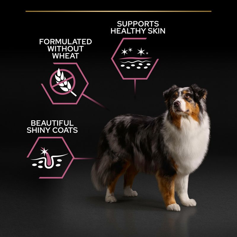 PURINA PRO PLAN Senior Medium & Large Adult 7+ Sensitive Skin || Pro Plan || view 5