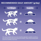 PURINA ONE Adult Salmon & Whole Grains Dry Cat Food || Purina One || view 7