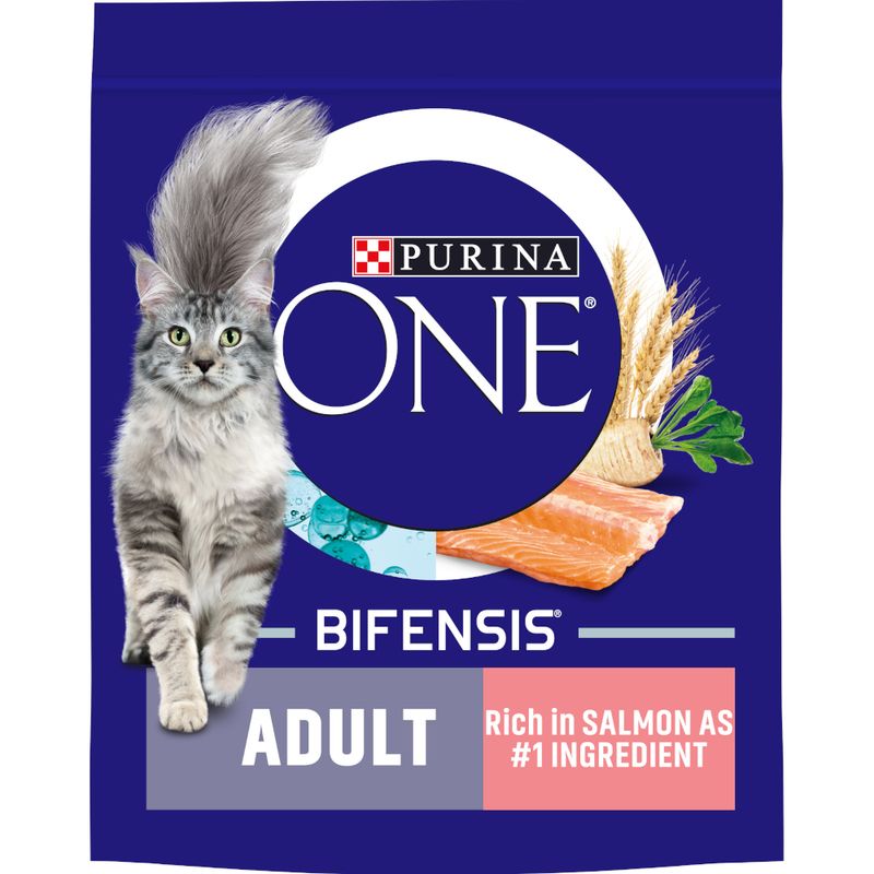 PURINA ONE Adult Salmon & Whole Grains Dry Cat Food || Purina One || view 2