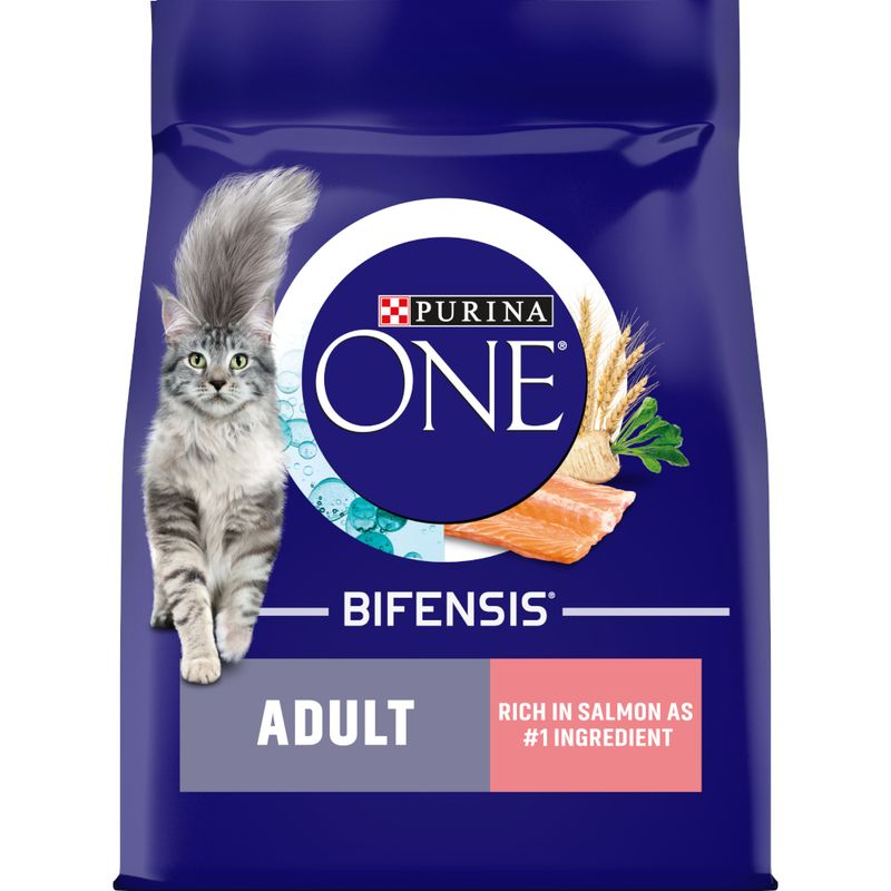 PURINA ONE Adult Salmon & Whole Grains Dry Cat Food || Purina One || view 1