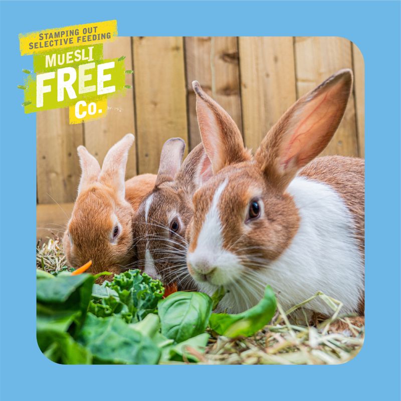 Burgess Excel Junior & Dwarf Rabbit Nuggets with Mint || undefined || view 7