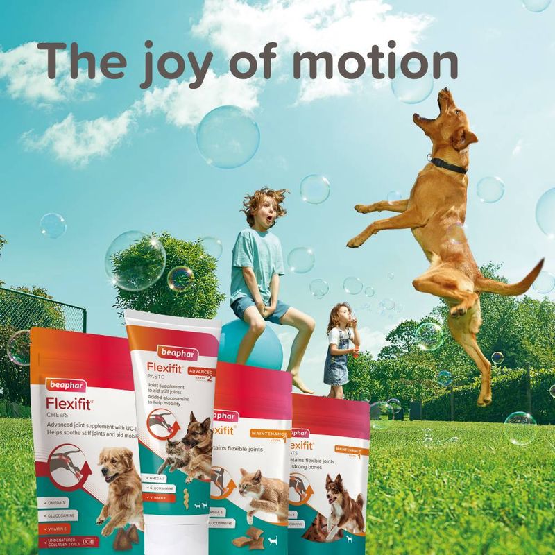 beaphar Flexifit® Maintenance Joint Care Treats 150g || beaphar || view 8