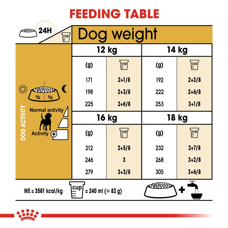 Royal Canin Beagle Adult || Royal Canin Breed || view 7