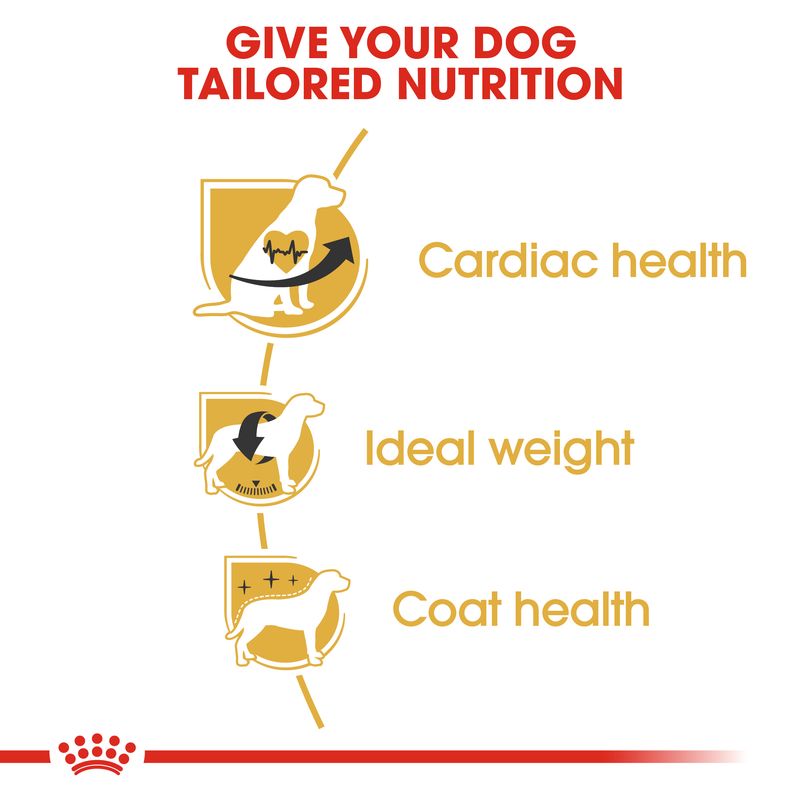 Royal Canin Cavalier King Charles Adult || Royal Canin Breed || view 5