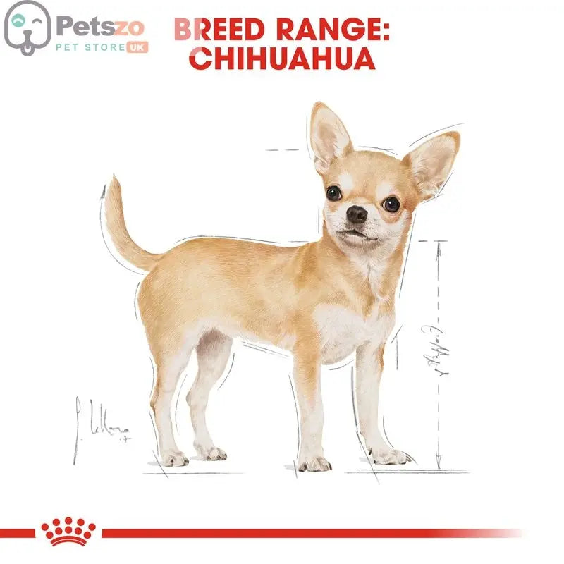 Royal Canin Chihuahua Adult || Royal Canin Breed || view 6