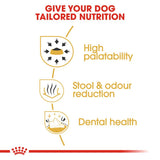 Royal Canin Chihuahua Adult || Royal Canin Breed || view 5
