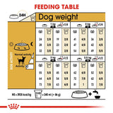 Royal Canin Chihuahua Adult || Royal Canin Breed || view 7
