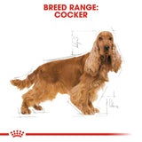Royal Canin Cocker Spaniel Adult || Royal Canin Breed || view 5