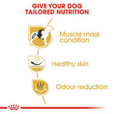Royal Canin French Bulldog Adult || Royal Canin Breed || view 5
