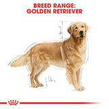 Royal Canin Golden Retriever Adult || Royal Canin Breed || view 6